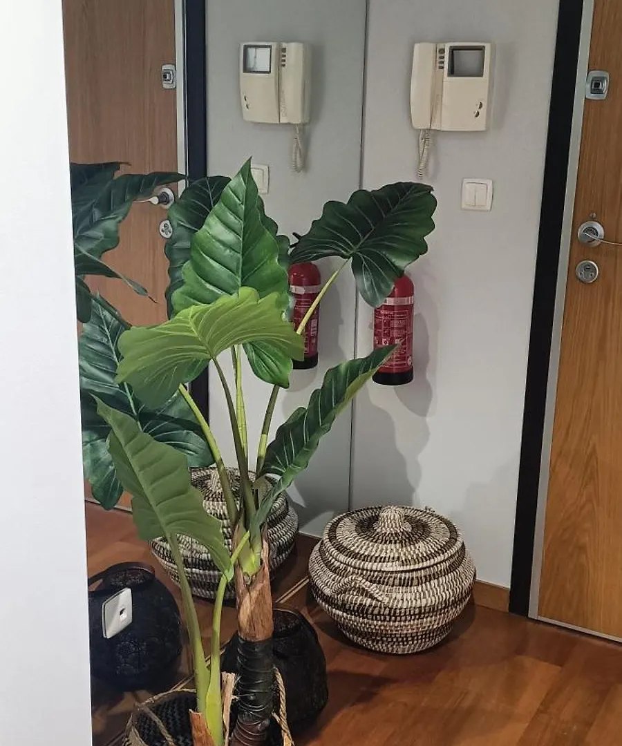 Suite Palms Funchal  0*, Funchal (Madeira)